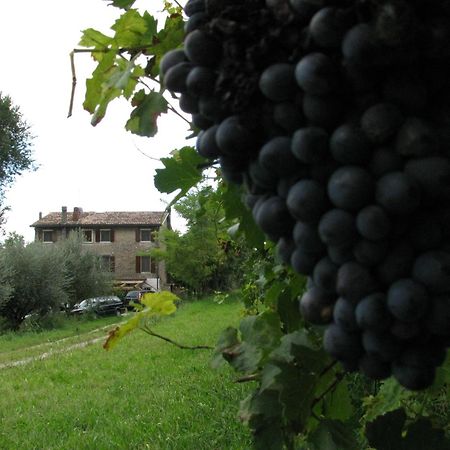 I Vigneti Bed & Breakfast Salionze Luaran gambar
