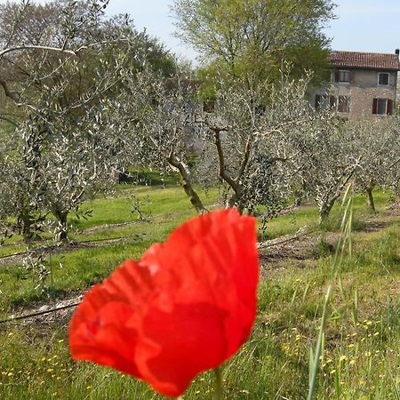I Vigneti Bed & Breakfast Salionze Luaran gambar